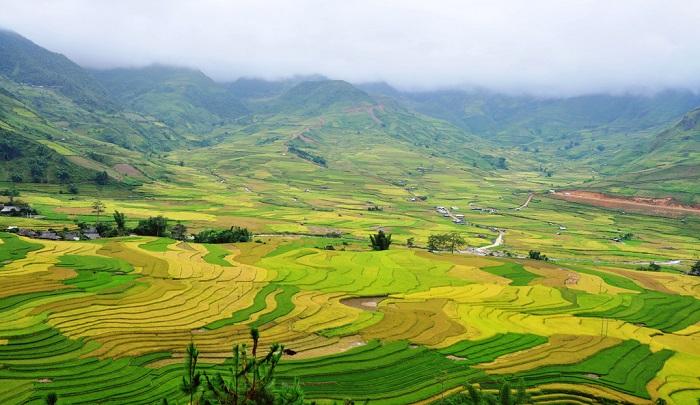 Tỉnh Yên Bái