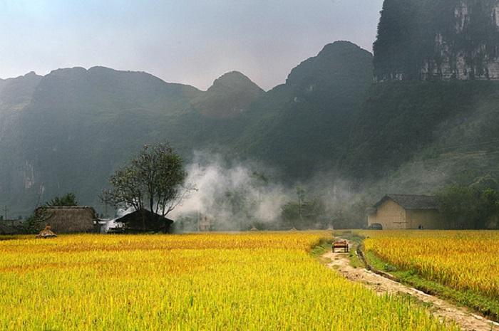 Tỉnh Hà Giang